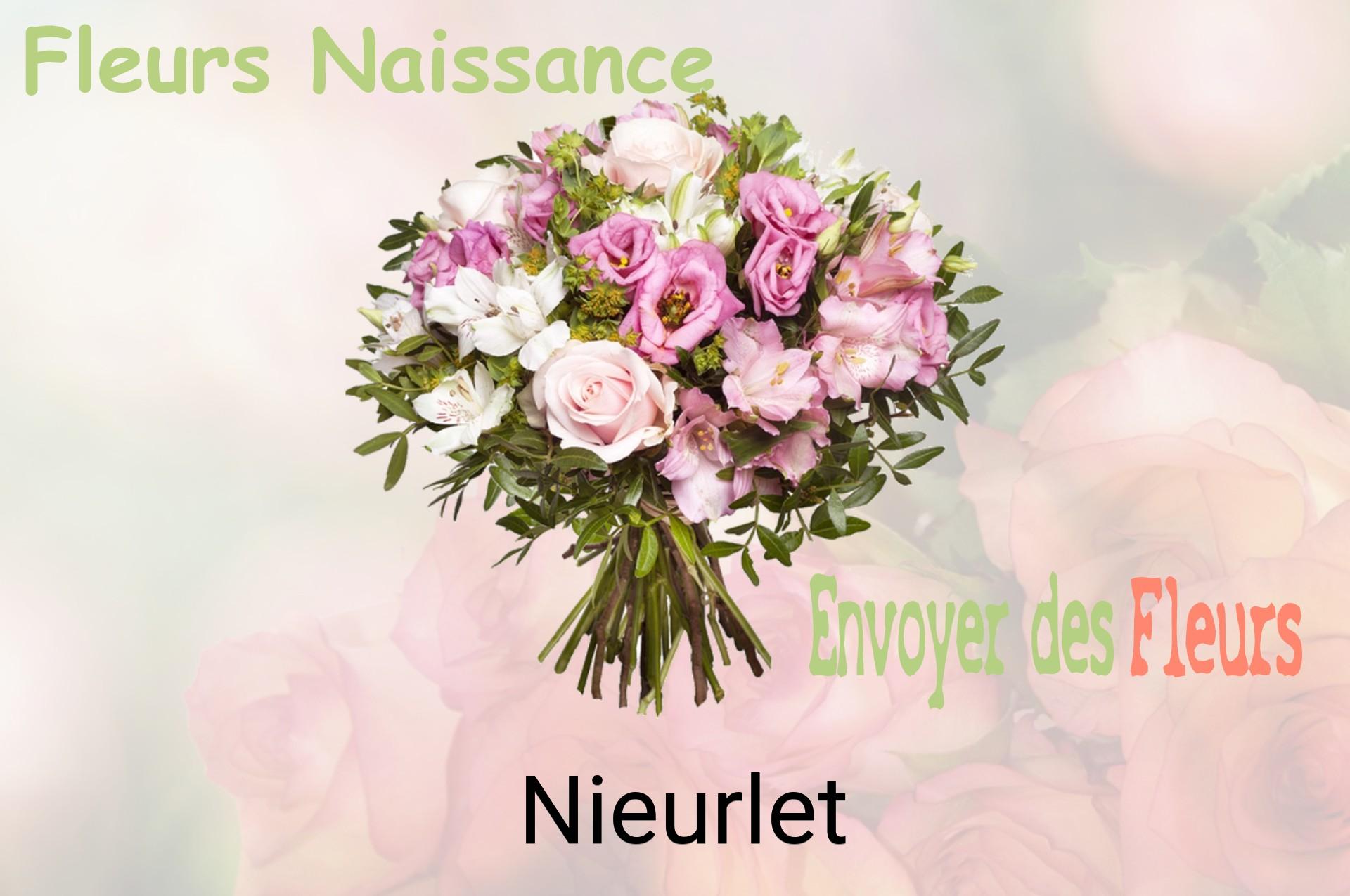 Bouquet de fleurs de naissance livré à Nieurlet
